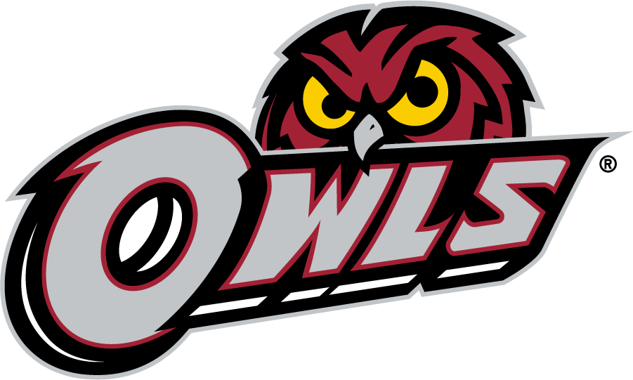 Temple Owls 2014-2020 Secondary Logo v3 diy iron on heat transfer
